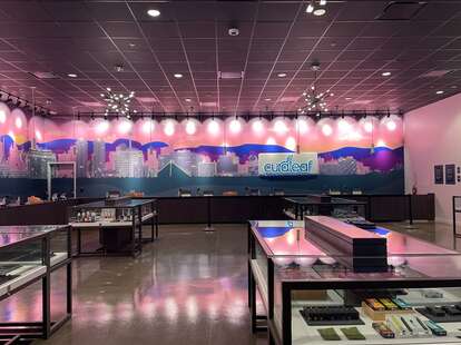 Best Dispensaries in Las Vegas: Where to Buy Legal Weed in Vegas