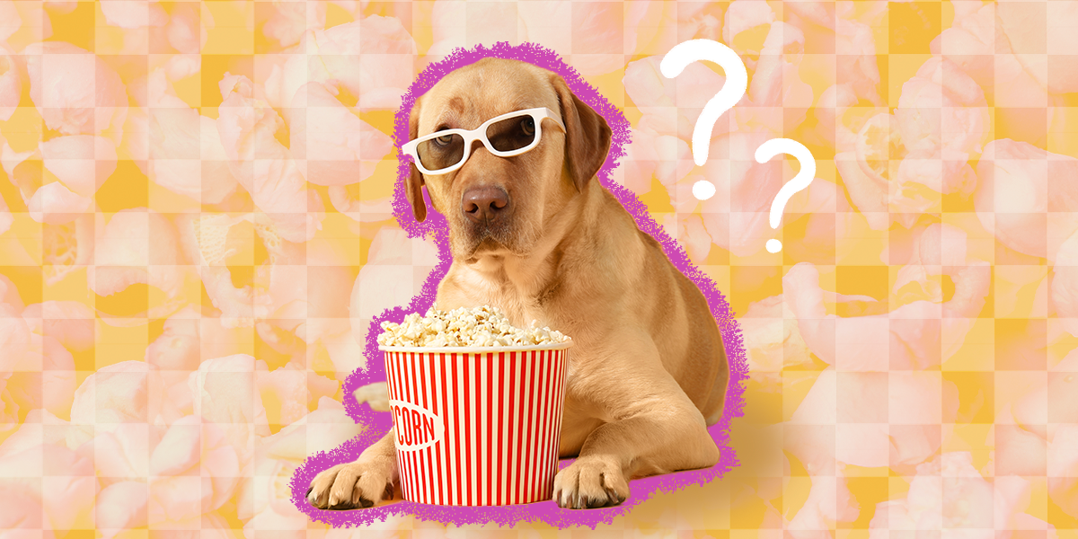 does popcorn give dogs diarrhea