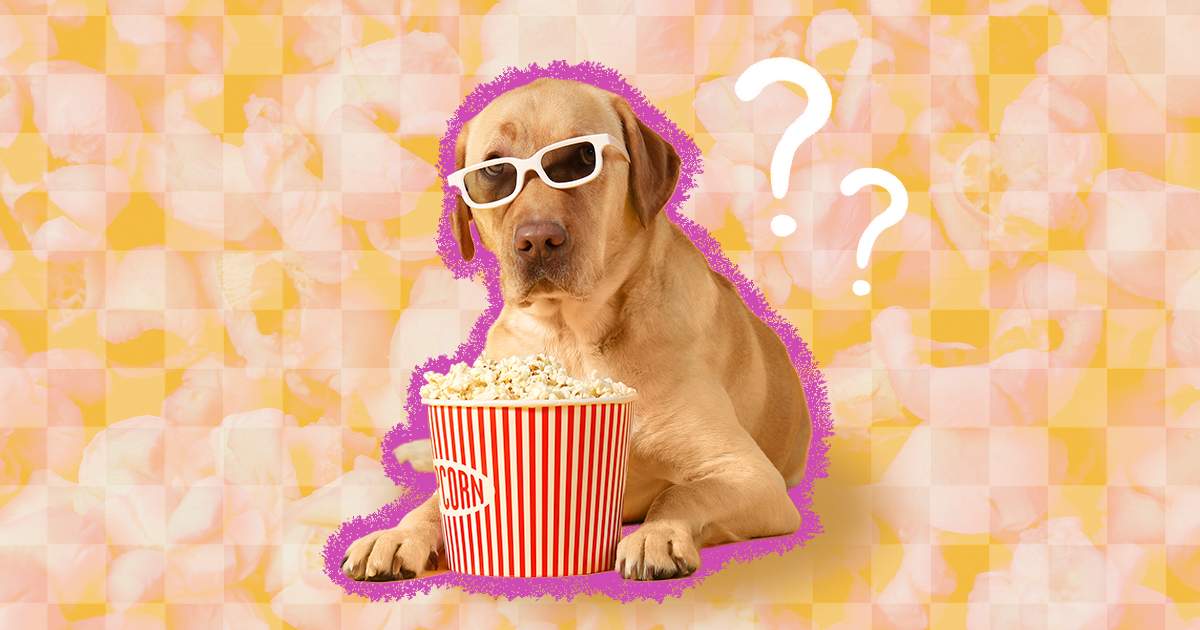 are popcorn kernels bad for dogs