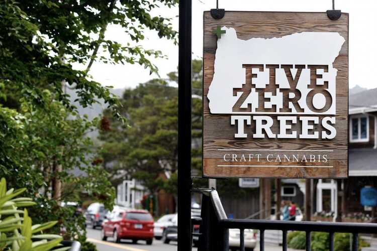 Five Zero Trees