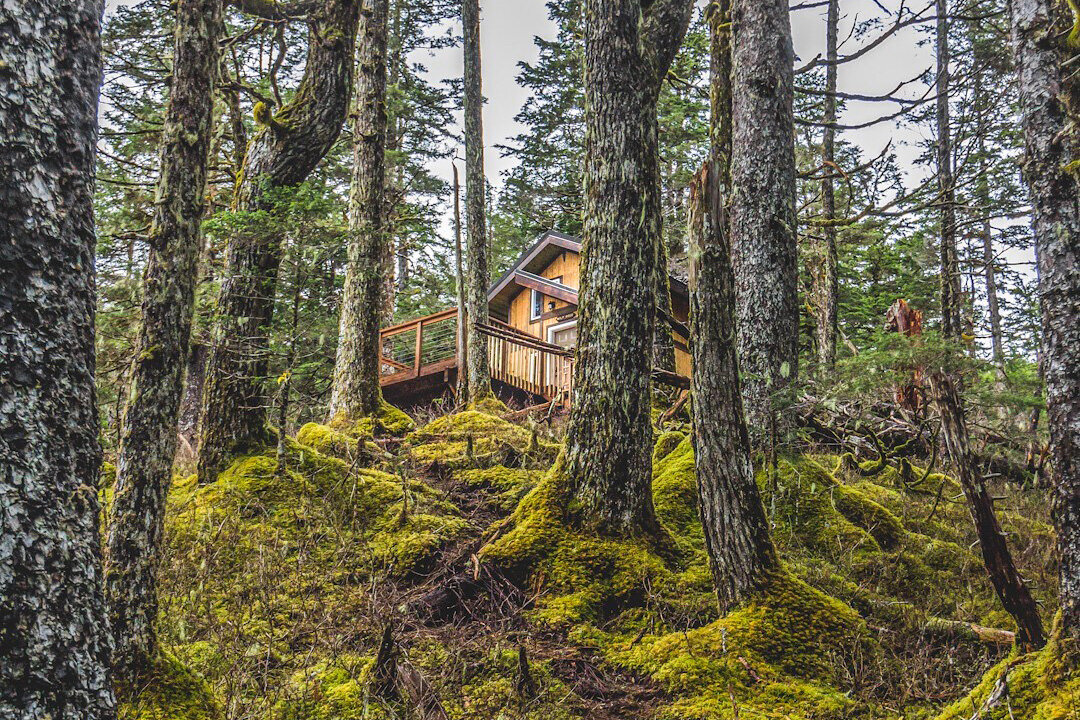 airbnbs near kenai fjords national park
