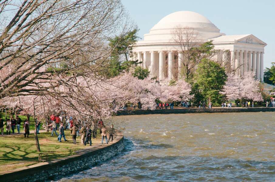 Things to Do This Weekend in Washington DC April 13, 2022 Thrillist