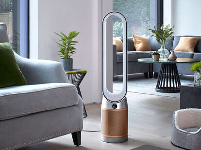 Dyson vs deals coway air purifier