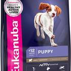 Eukanuba Puppy Lamb 1st Ingredient Dry Dog Food, 15 lb