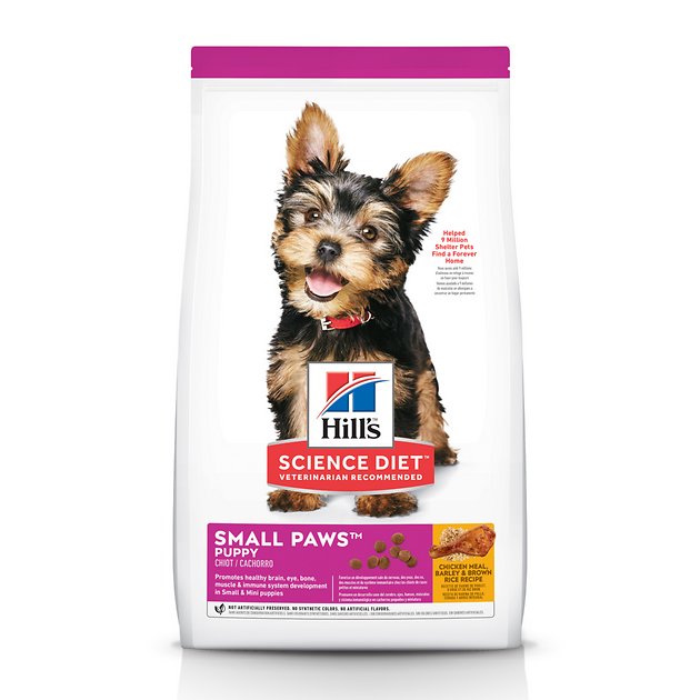 what should i feed my small breed puppy