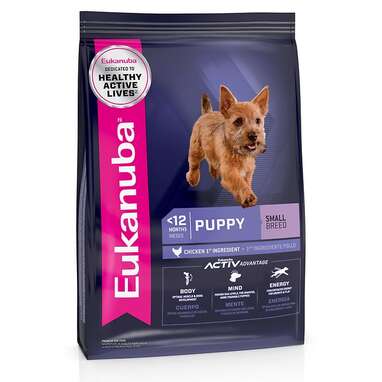 Best dry kibble 2024 for small dogs