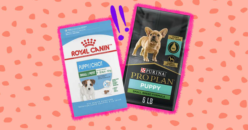 Best puppy food top for small breeds 2017