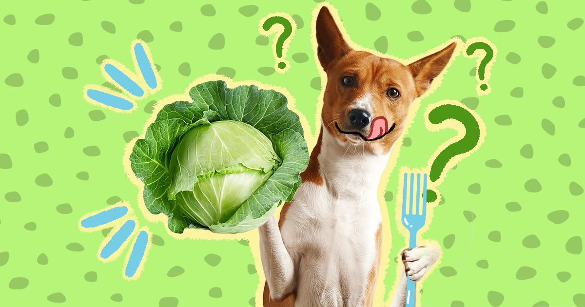 Why Do Dogs Eat Green Leaves