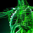 Why Do Lymph Nodes Swell Up When You're Sick?