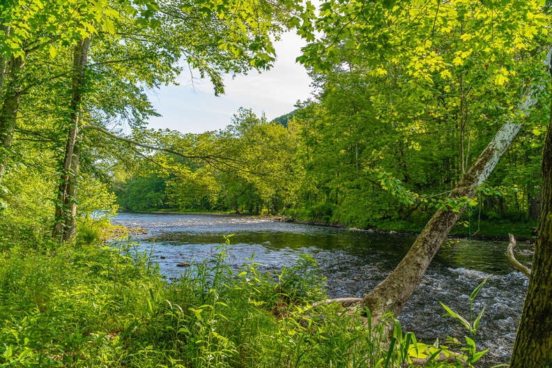 neversink reservoir
