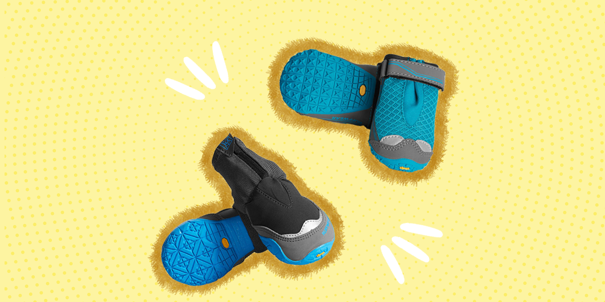 4 Best Dog Hiking Boots To Keep Your Pup’s Paws Protected On The Trail DodoWell The Dodo