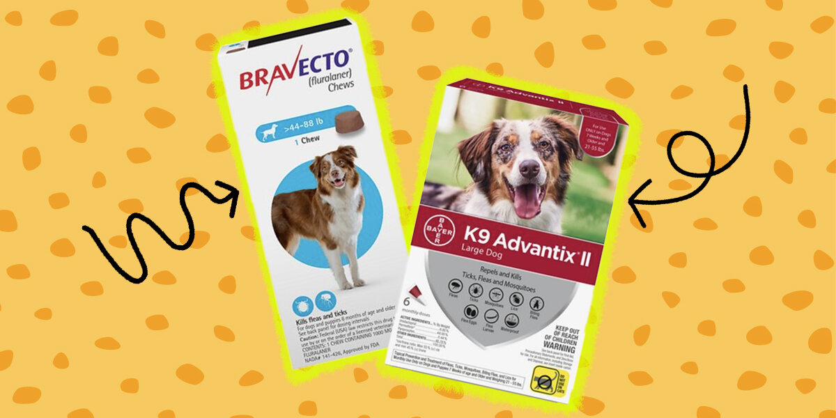 Bravecto Chews for Dogs - Flea & Tick Pills