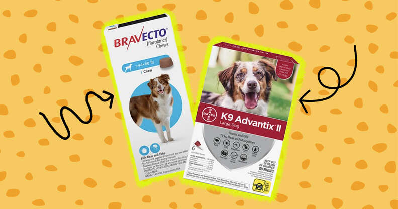 bravecto and k9 advantix tick treatments