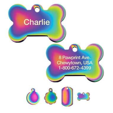 Quick-Tag Coated Metal Personalized Dog & Cat ID Tag