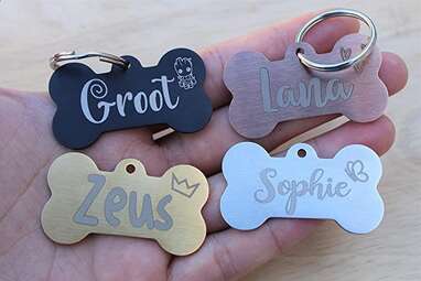 Best dog hotsell name tags