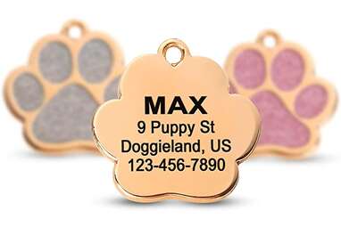 Cool dog hotsell id tags