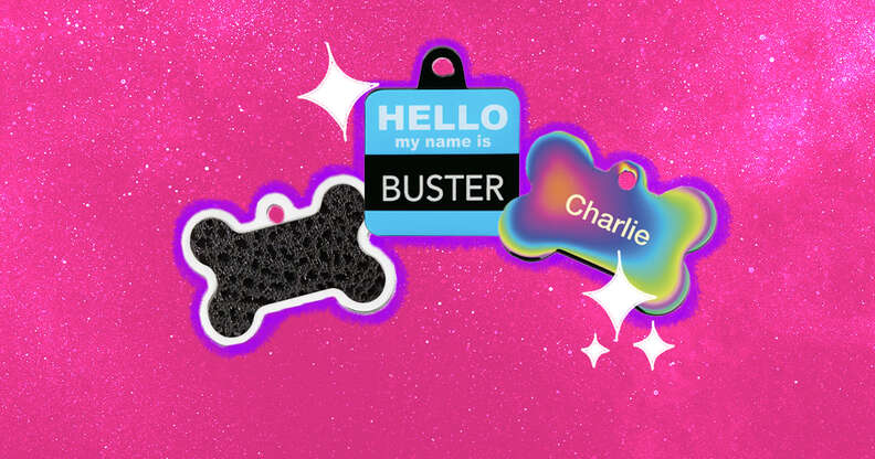 leather, name, and rainbow dog name tags