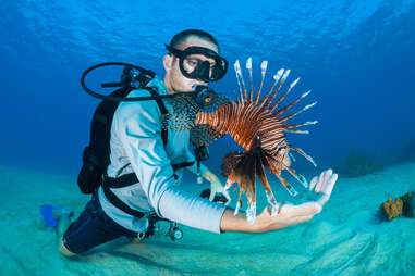 Lionfish Removal and Awareness Day Festival