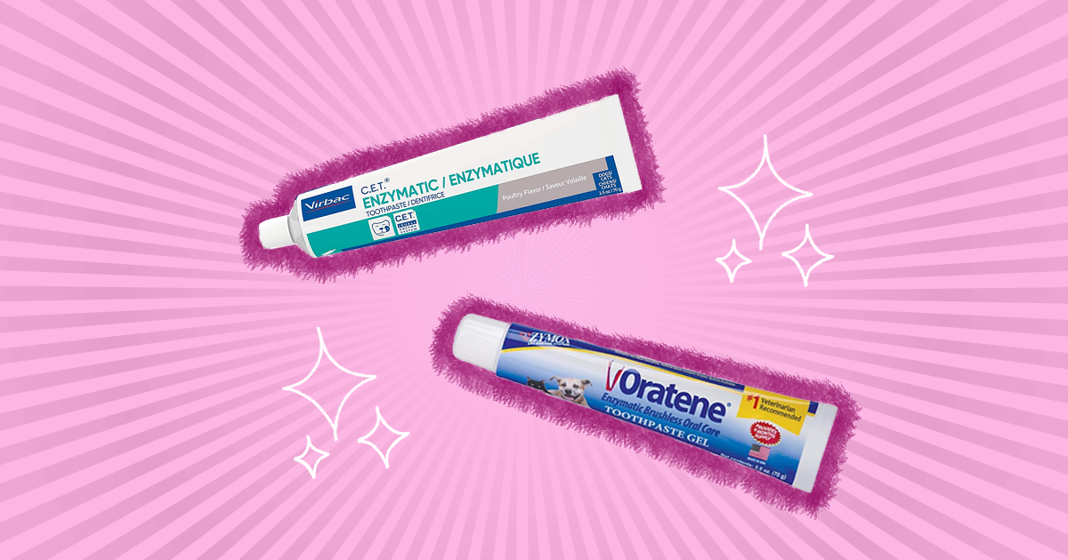 Best hotsell cat toothpaste