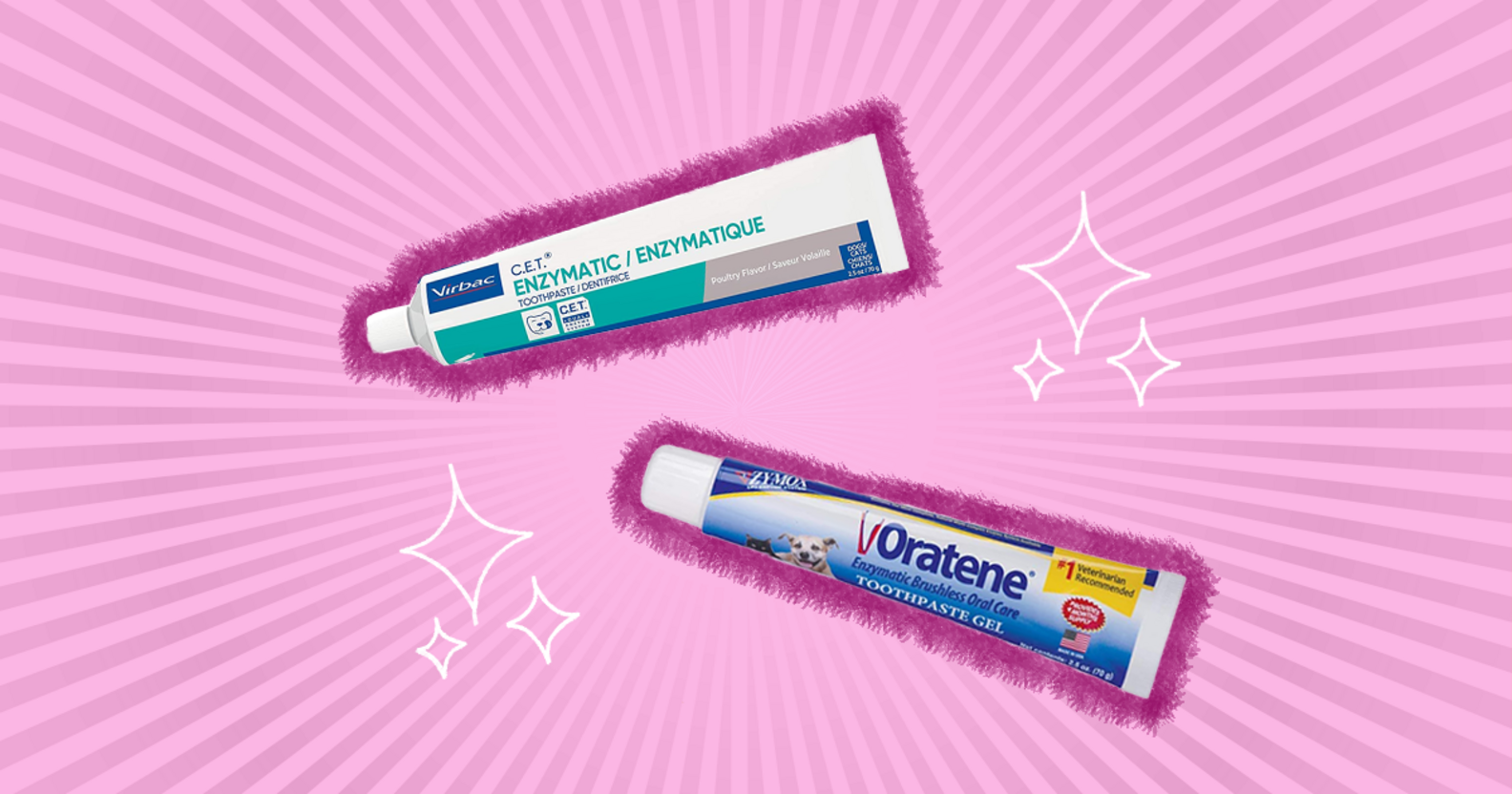 Cat Toothpaste The 4 Best Options For Keeping Your BFF’s Teeth Healthy