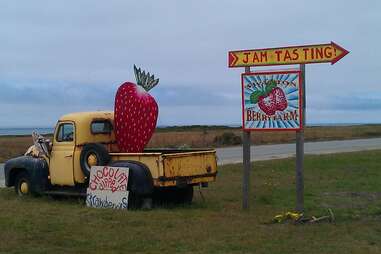 Swanton Berry Farm