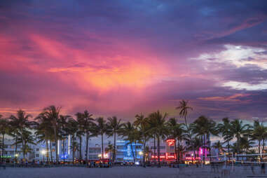 neon lit buildings and palm trees line a beach