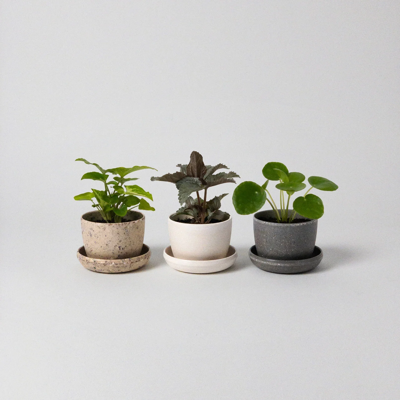 Harmony Mini Planters (Set of 3)