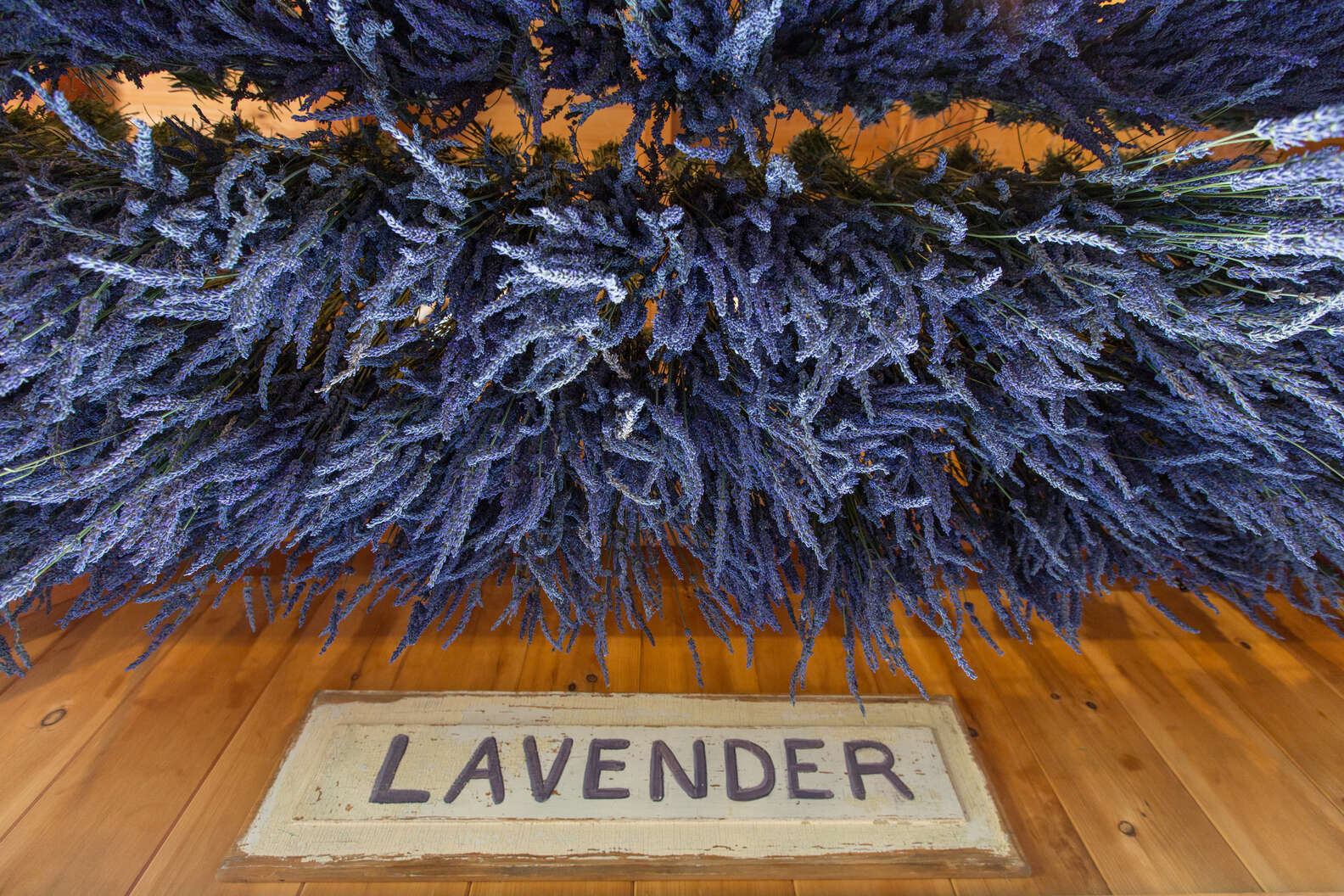 Photo courtesy of Lavender by the Bay