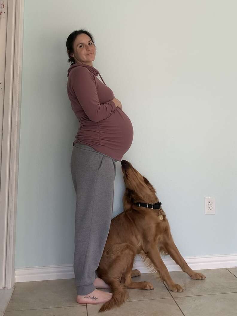 Service dog tells woman she's about to give birth