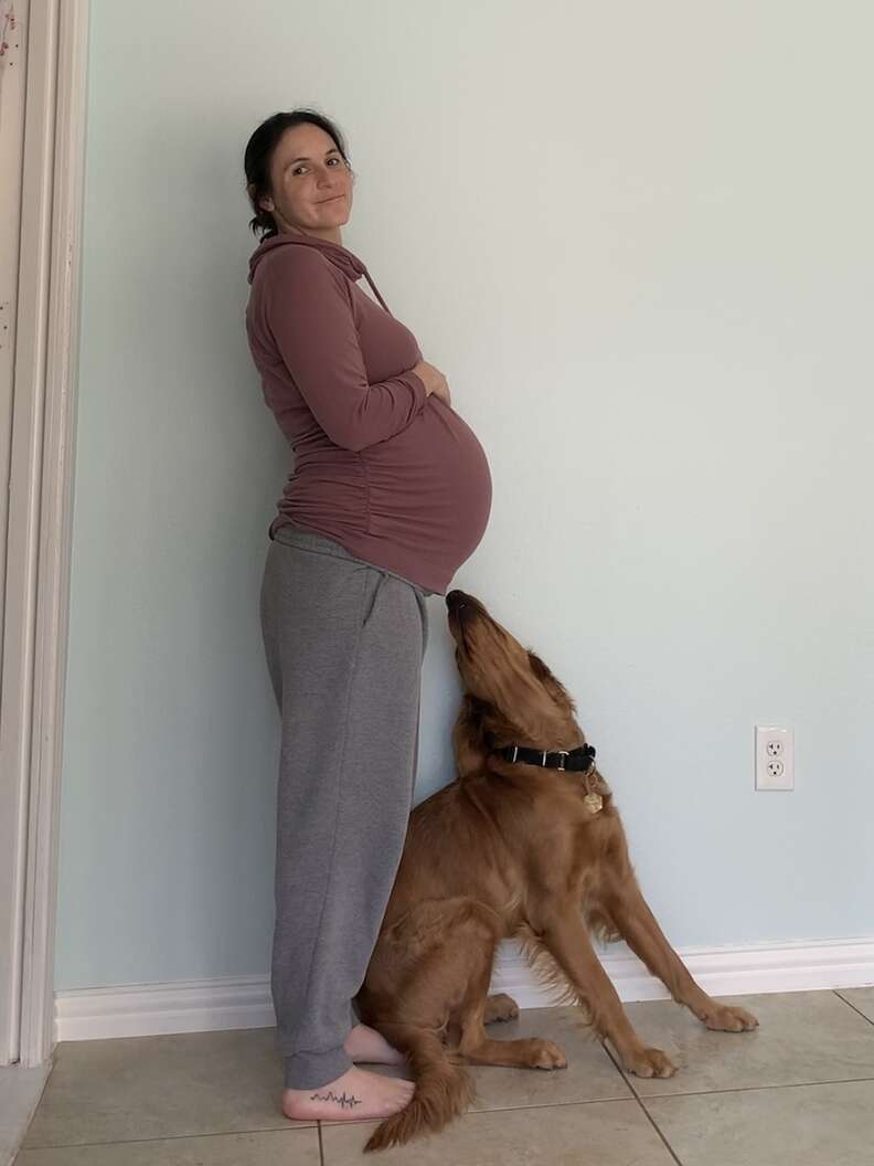 Dog impregnates woman