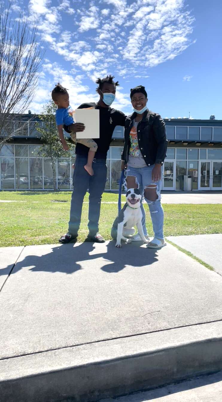 cão perdido reunido com a família