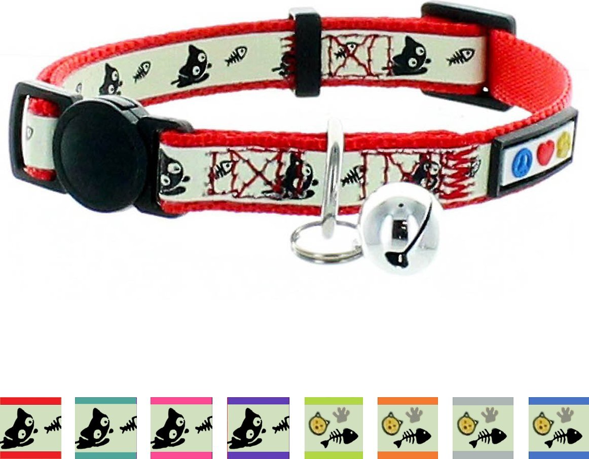 Kitten Collars 6 Best Options For Your Tiny BFF DodoWell The Dodo