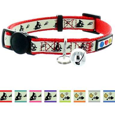 Kitten Collars 6 Best Options For Your Tiny BFF DodoWell The Dodo