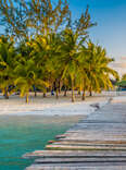 Wooden pier to Saona island