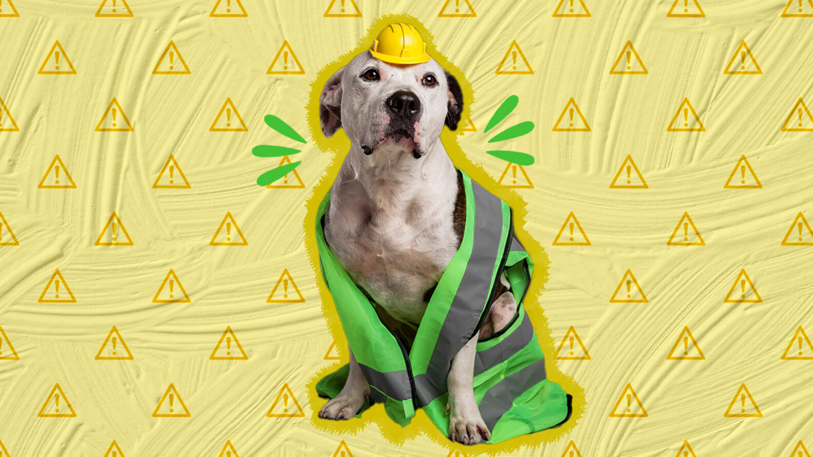 How To DogProof Your Home 7 LifeSaving Improvements, According To An