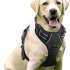 Best dog running harness: rabbitgoo Dog Harness