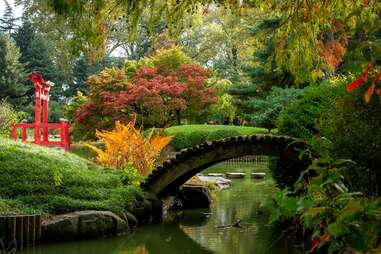 a Japanese botanic garden with a bridge and a torii gate