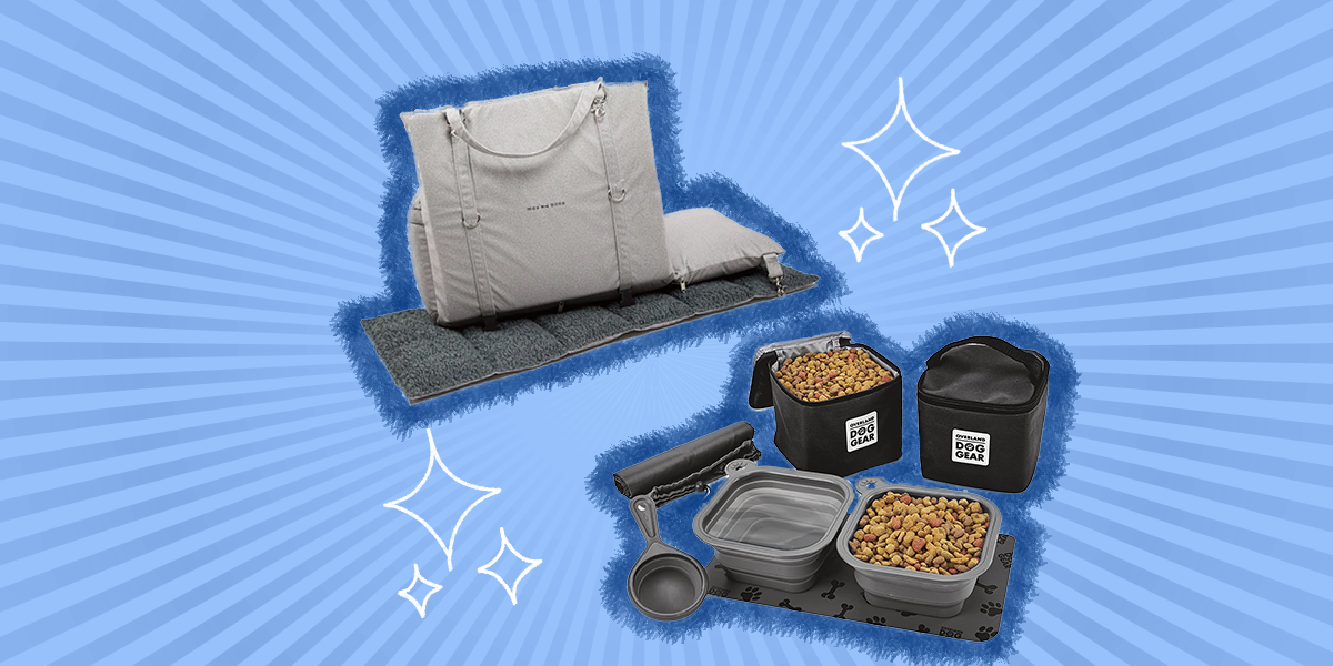 7 Best Dog Accessories For The Car DodoWell The Dodo