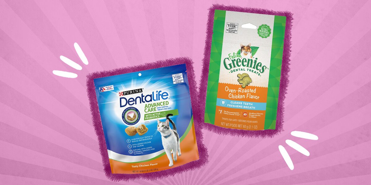 Best cat treats for teeth hotsell