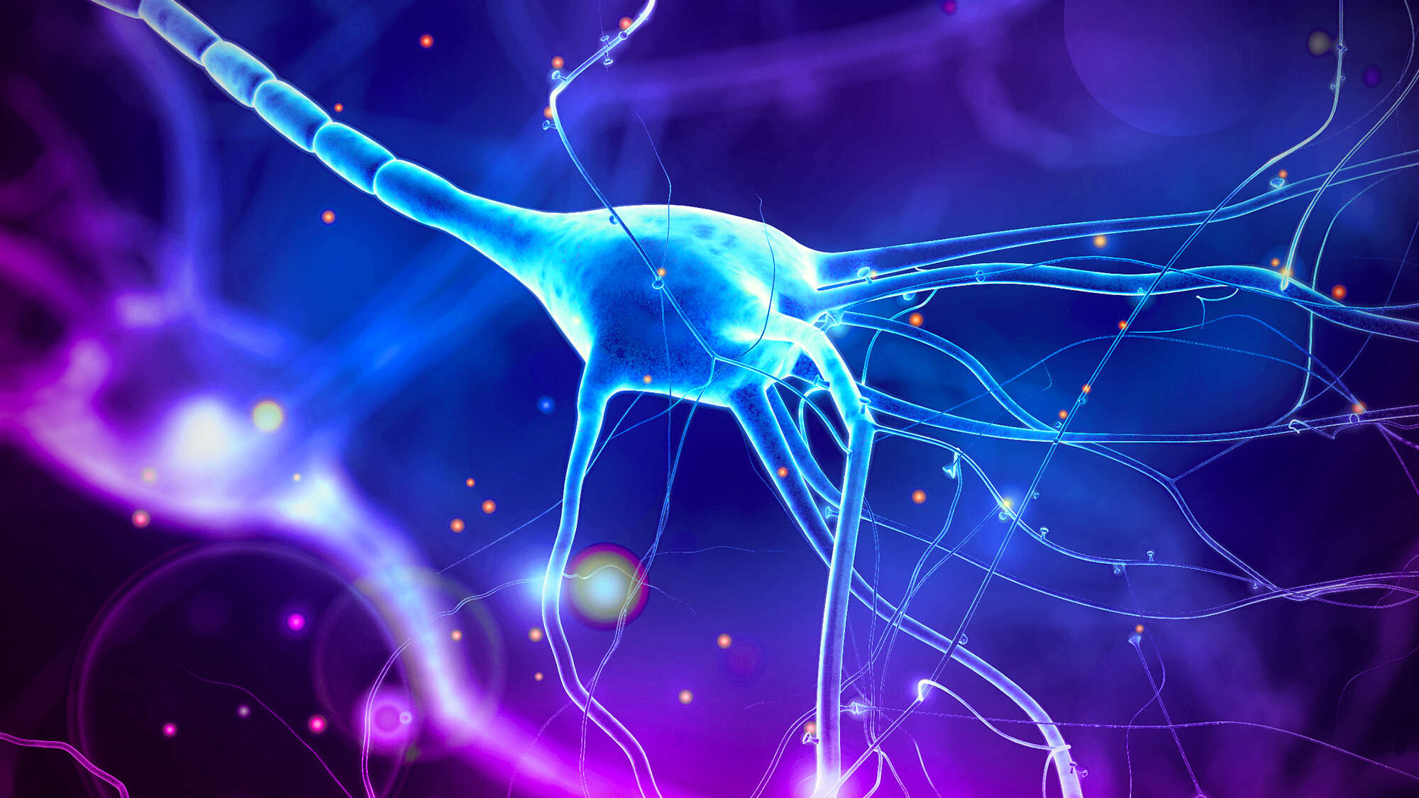 The Hidden Electrical World Inside Your Body