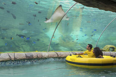 SeaWorld San Antonio