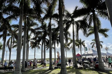 Farmer’s market among palm trees in downtown Fort Pierce