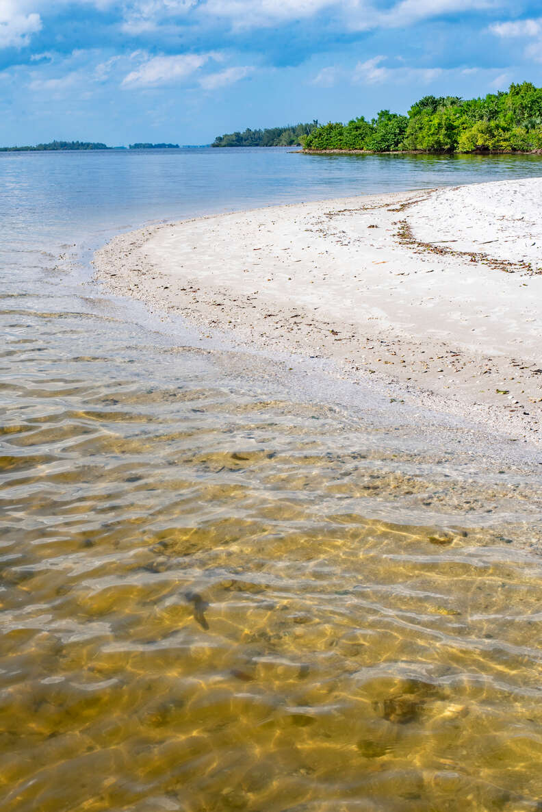 Indian River Lagoon Spoil Islands