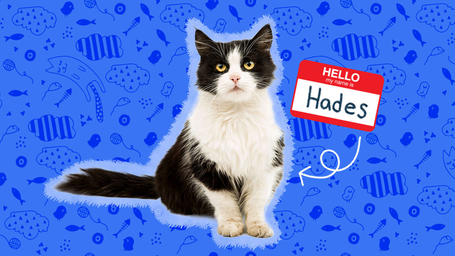 110-disney-cat-names-inspired-by-famous-characters-dodowell-the-dodo