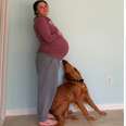 Dog Keeps Trying To Tell Her Pregnant Mom She's About To Give Birth