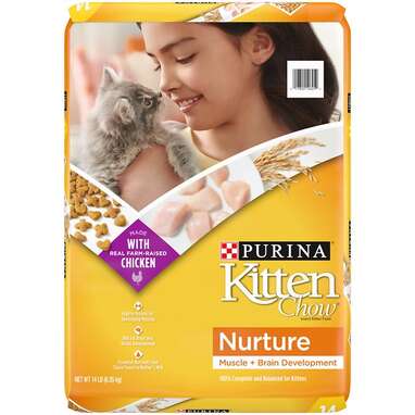 Best dry cat food for kittens: Purina Kitten Chow