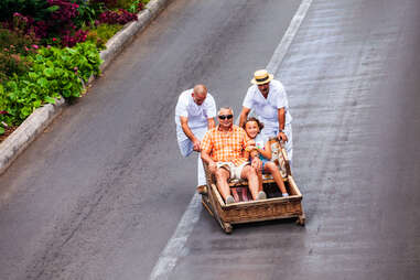 Madeira toboggan