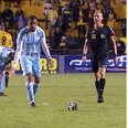 Soccer Crowd Goes Wild As Adorable Possum Waddles Onto The Field