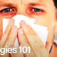 Why Are Allergies So Common?