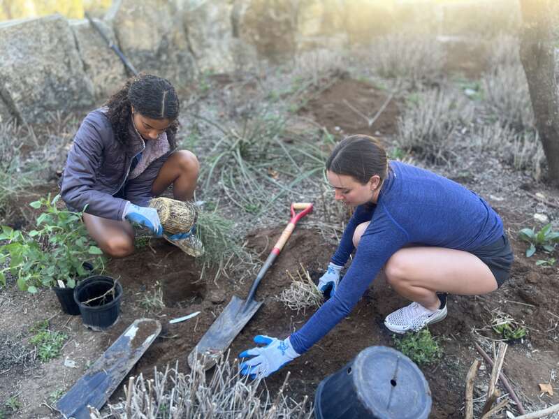 Volunteer Opportunities In Austin: Charities, Organizations & More 